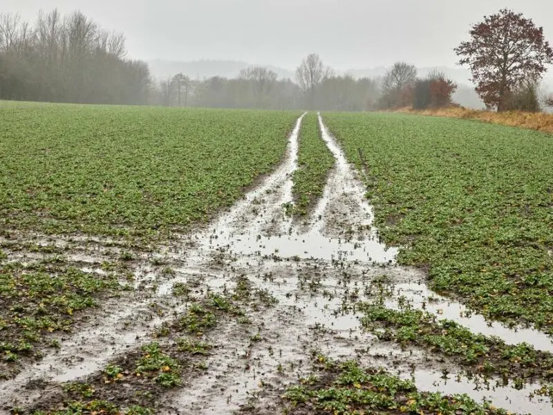 Überflutete Felder erschweren die Arbeit der Bauern