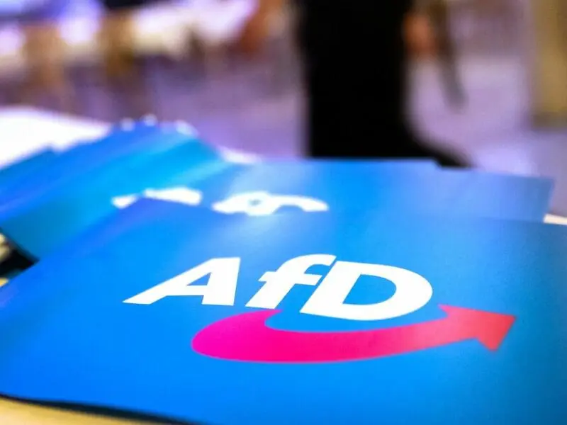 Fähnchen mit dem Logo der AfD liegen auf einem Tisch