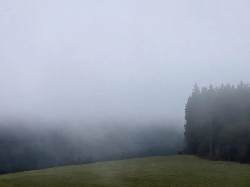 Wetter im Schwarzwald