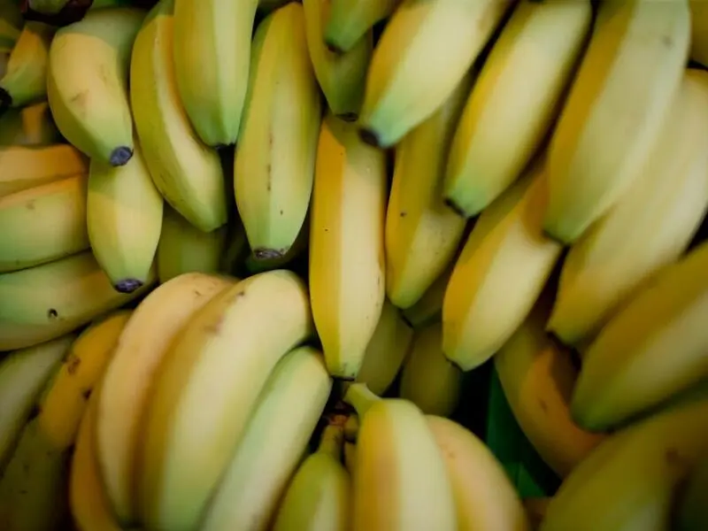 Unter Bananen verstecktes Kokain wurde beschlagnahmt