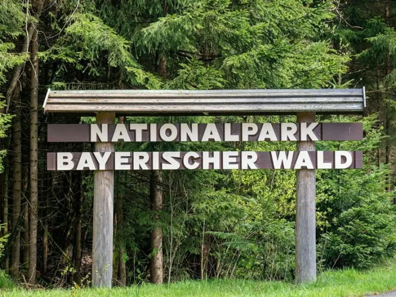 Pressekonferenz im Nationalpark Bayerischer Wald