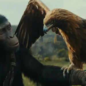 Planet der Affen: New Kingdom streamen – Wann kannst Du den Sci-Fi-Actionfilm im Heimkino sehen?