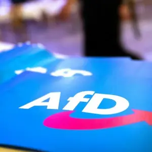 Fähnchen mit dem Logo der AfD liegen auf einem Tisch