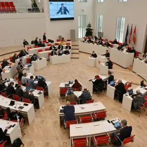 Abgeordnete bei einer Sitzung im Potsdamer Landtag