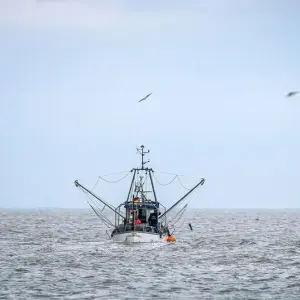 Küstenfischerei
