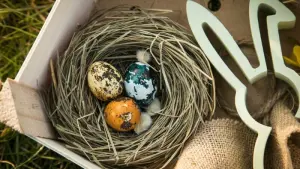 DIY-Deko: Osternest aus Naturmaterialien selber basteln