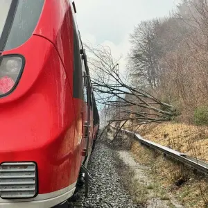 Baum auf Zug