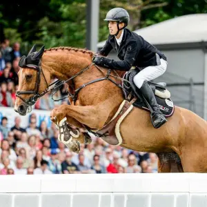 Pferdesport: Deutsches Spring- und Dressur-Derby