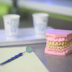 Zahnärztliche Versorgung in Niedersachsen