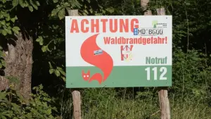 Waldbrandgefahr in Sachsen-Anhalt steigt