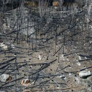 Schäden nach Waldbrand in der Böhmischen Schweiz
