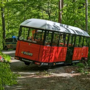 Wernigeröder Schlossbahn prallt gegen Baum