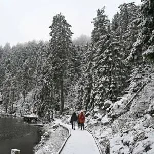 Schnee im Schwarzwald