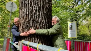 Baum-Umarmung bei Open-Air-Ausstellung im Park Sanssouci
