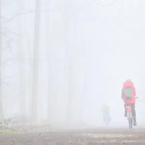 Nebel in Niedersachsen