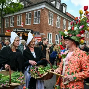 22. Tulpenfest im Holländischen Viertel von Potsdam