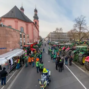 Bauernproteste - Mainz