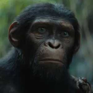 Planet der Affen: New Kingdom – Das musst Du über den Film wissen