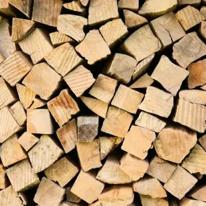 Holzdiebstahl in Brandenburg hat zugenommen