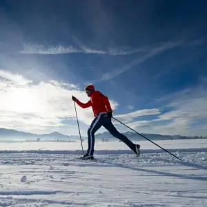 Langlaufende Person in Schneelandschaft