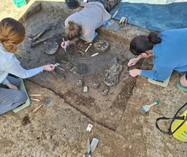 6800 Jahre altes Skelett in Niederbayern entdeckt