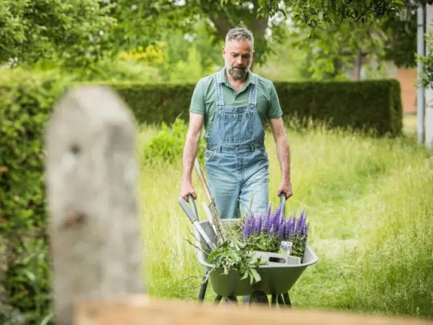 Ein Mann bei der Gartenarbeit