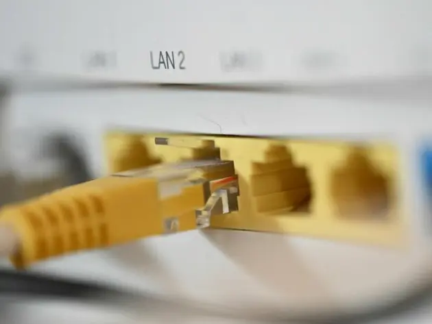 Ein LAN-Kabel steckt in einem Router