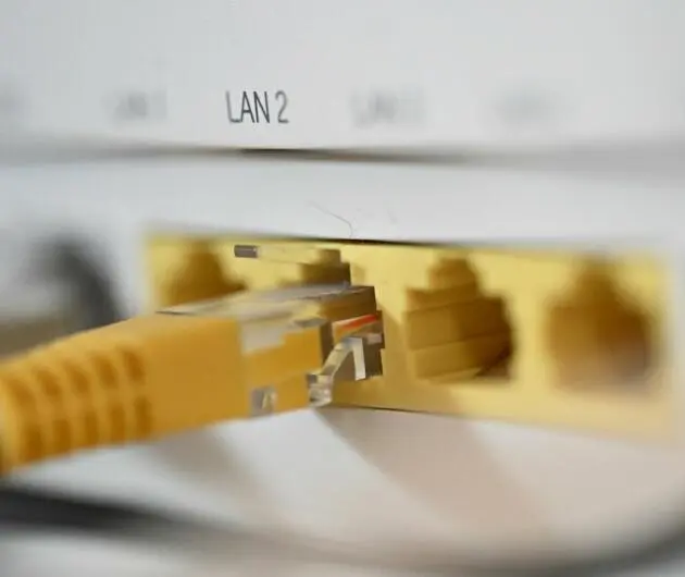 Ein LAN-Kabel steckt in einem Router