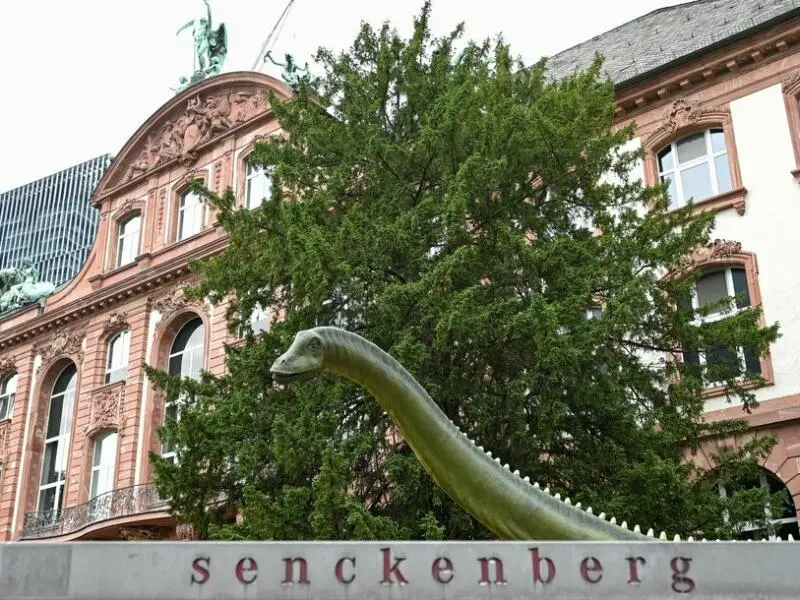 Naturmuseum Senckenberg