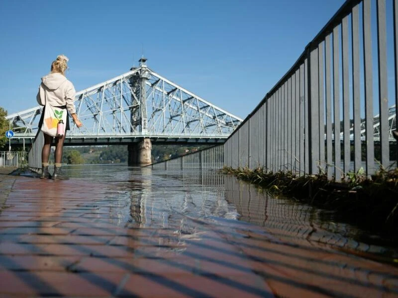 Elbe-Hochwasser - Dresden