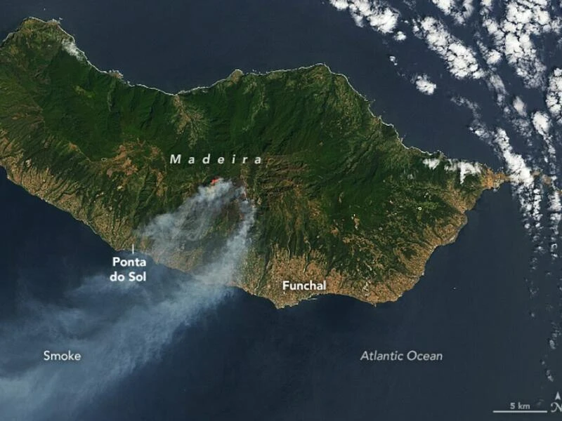 Waldbrände auf Madeira