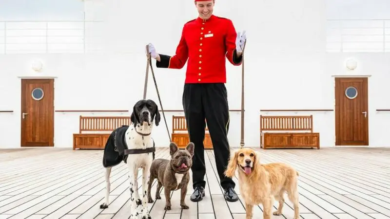 Hunde an Bord der Queen Mary 2 von Cunard