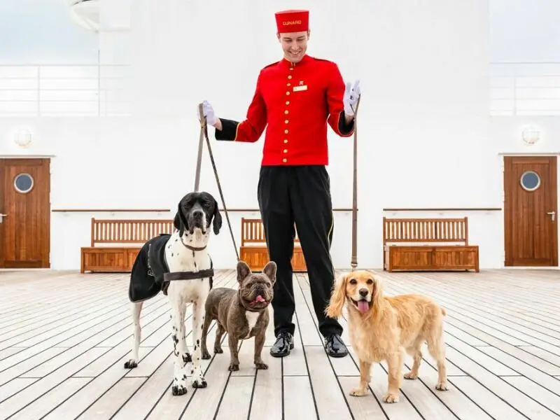 Hunde an Bord der Queen Mary 2 von Cunard