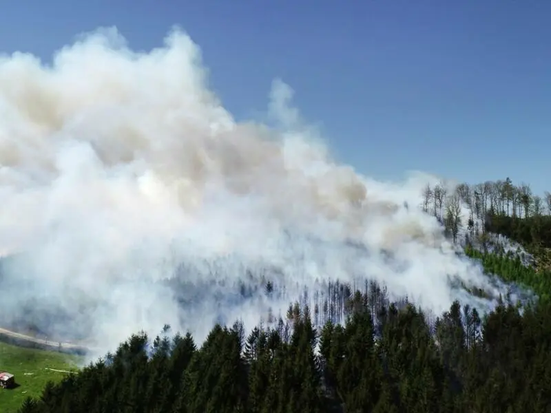Waldbrand in NRW