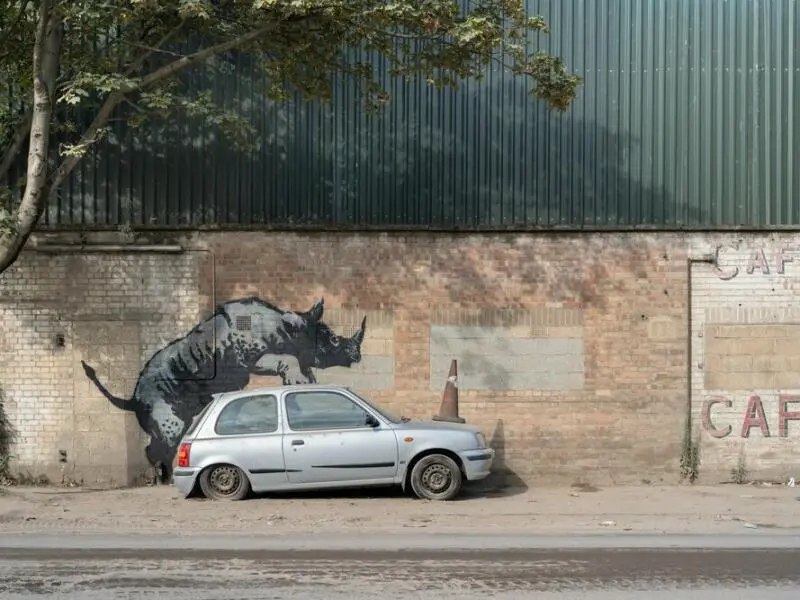 Banksy zeigt neues Kunstwerk - Nashorn