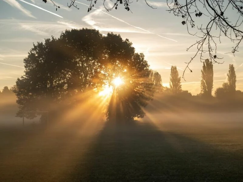 Herbststimmung bei Sonnenaufgang