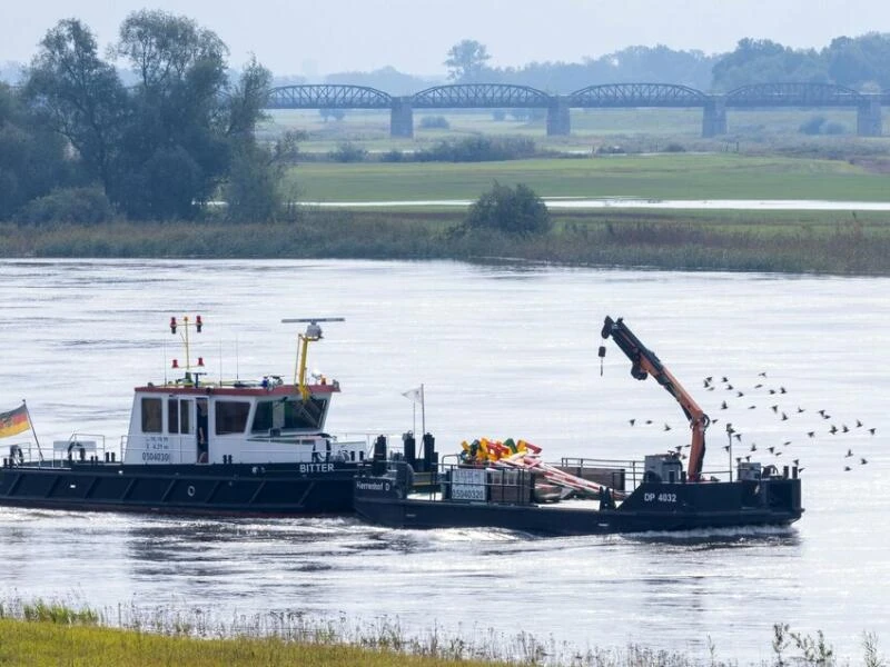 Erhöhte Pegelstände an der Elbe