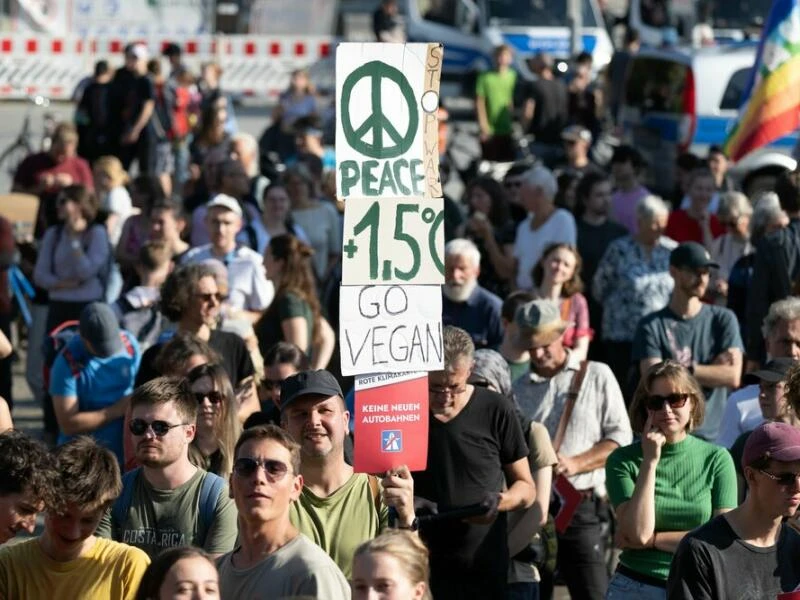 Aufruf zum Klimastreik von Fridays for Future - Dresden