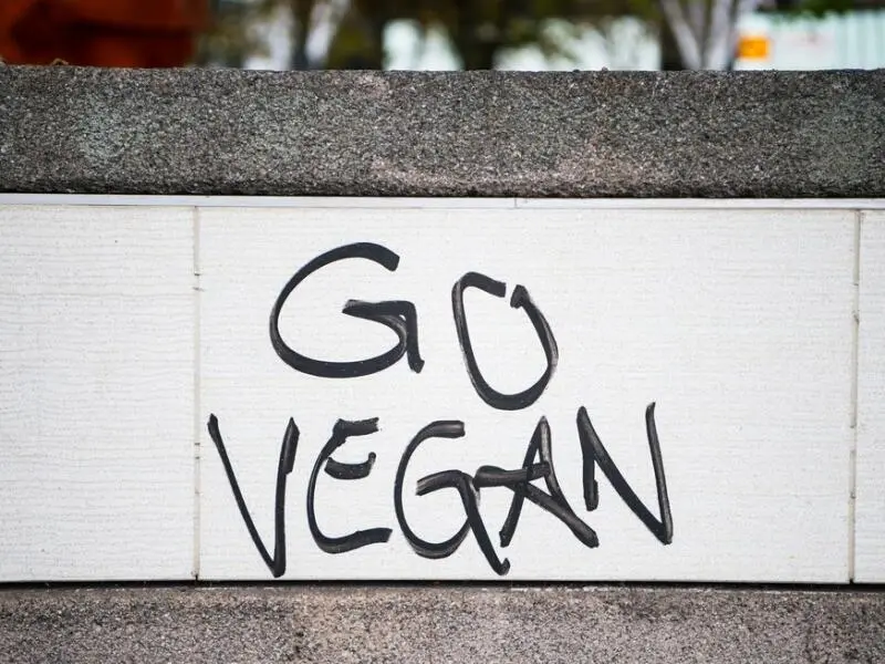 Graffiti-Schriftzug «Go Vegan»