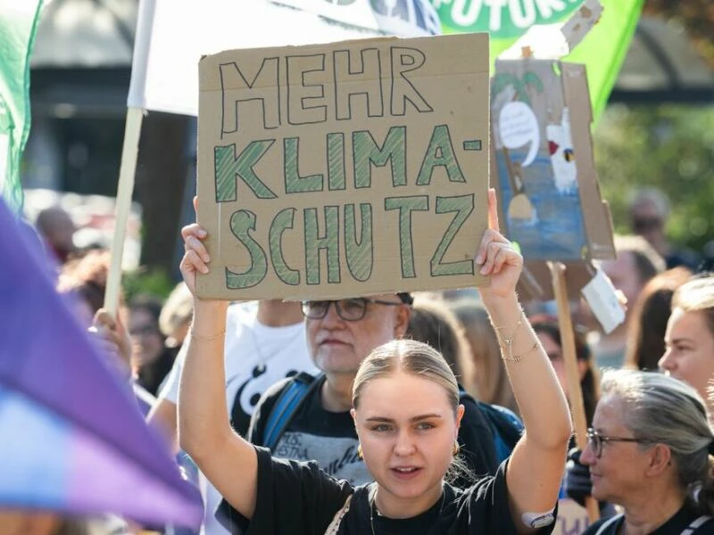 In vielen Städten kam es zum «Klimastreik» (hier: Frankfurt/Main)