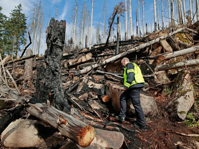 Großbrand am Brocken im Harz