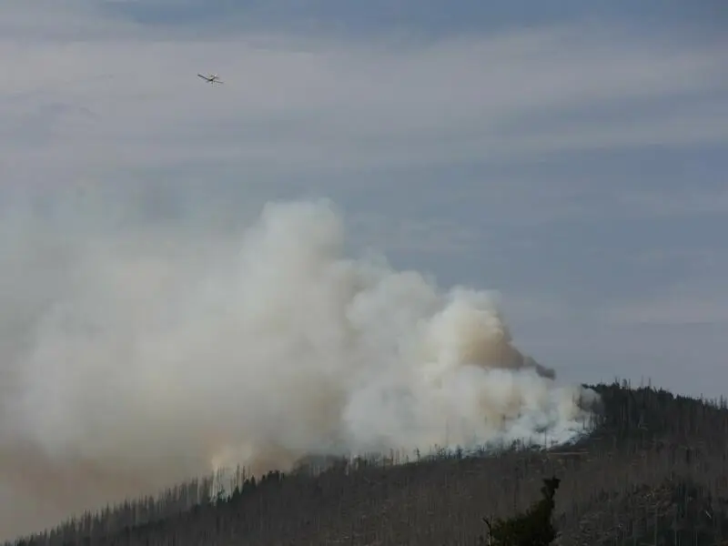 Brand am Königsberg im Harz