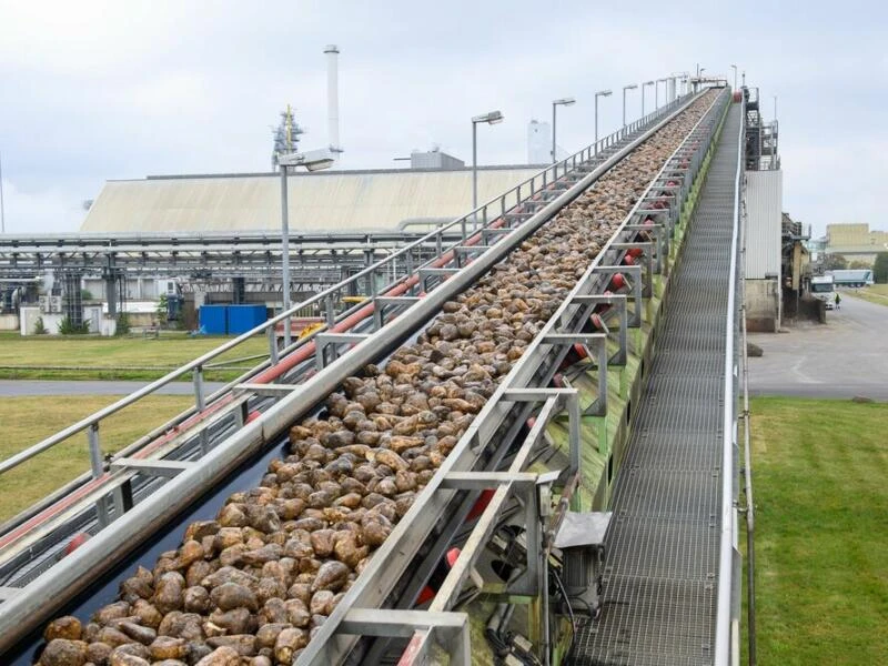 Kampagnen bei Nordzucker gestartet