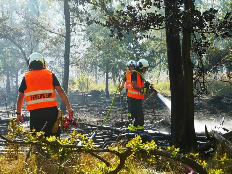 Waldbrand in Oranienbaum