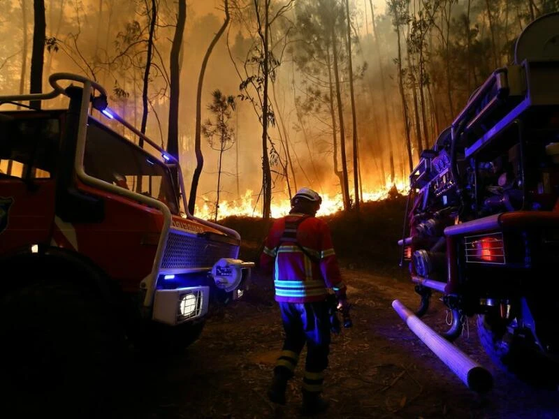 Waldbrände in Portugal