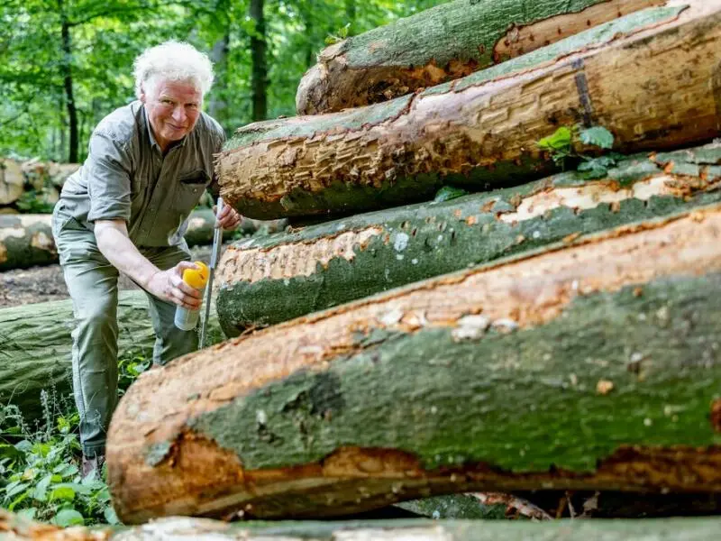 Holzernte im Privatwald