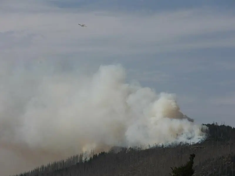 Brand am Königsberg im Harz