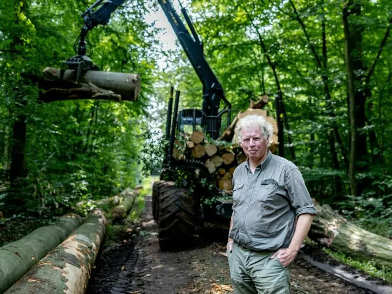 Holzernte im Privatwald