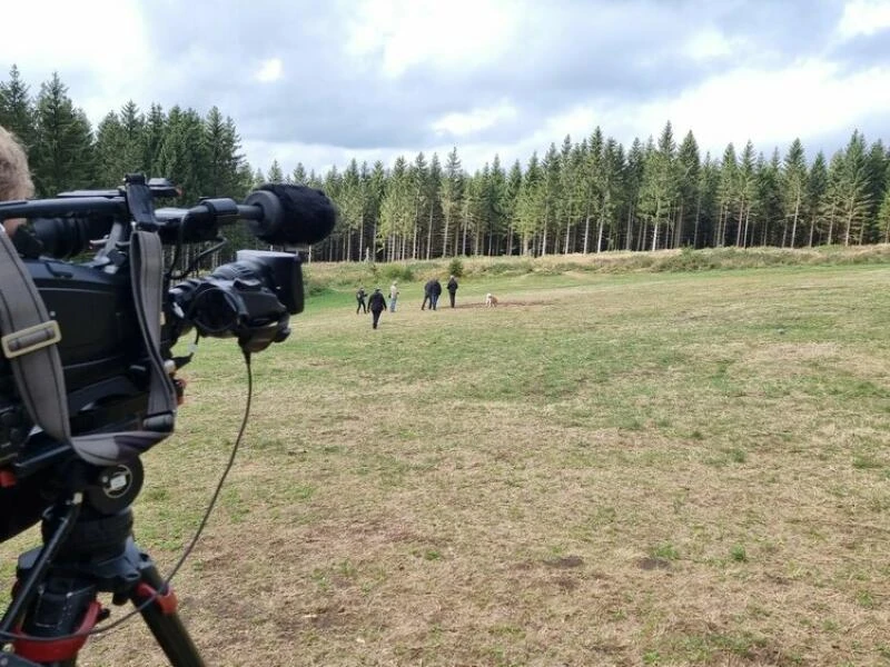 Waldgebiet nach dem «Rainbow-Gathering» - Rundgang