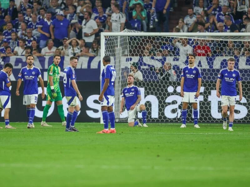 FC Schalke 04 - Darmstadt 98